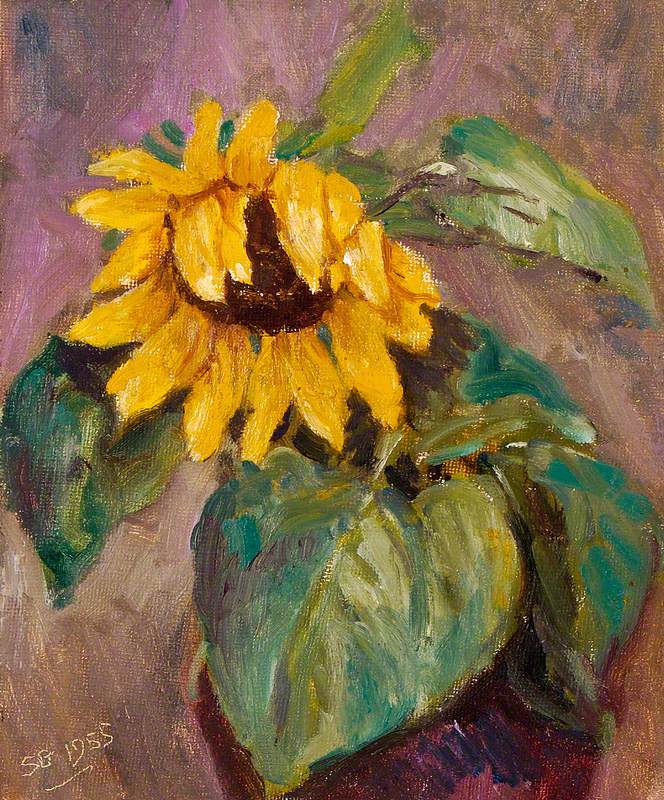 Stanley Clare Grayson - Sunflower